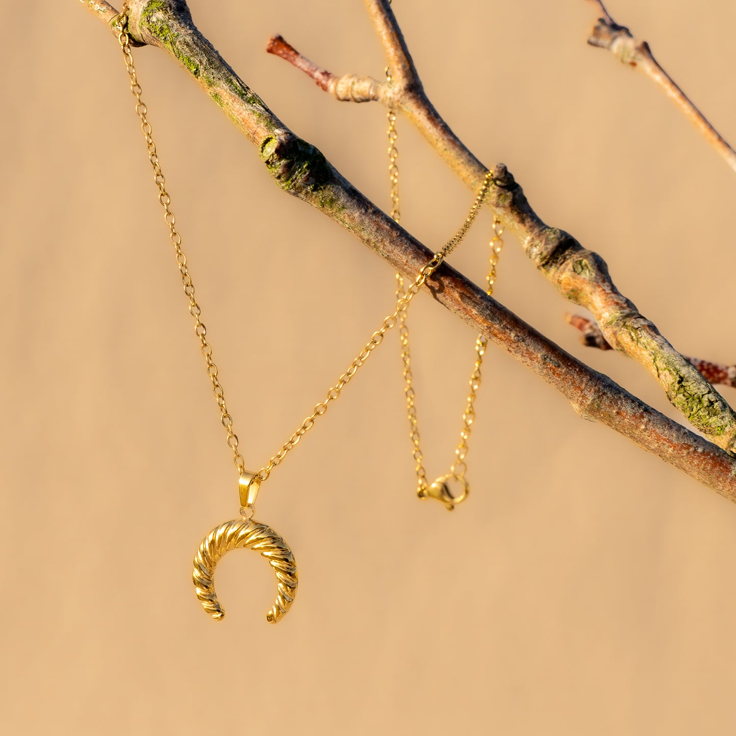 Crescent Necklace